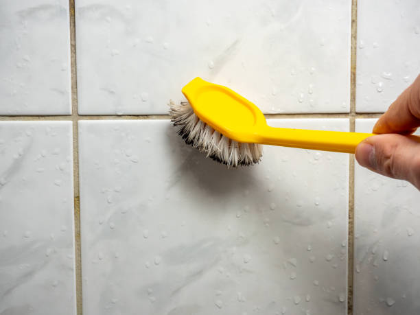 Best Professional Mold Removal  in Lake Secession, SC