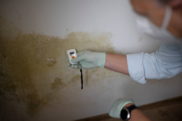 Best Mold Removal Process  in Lake Secession, SC