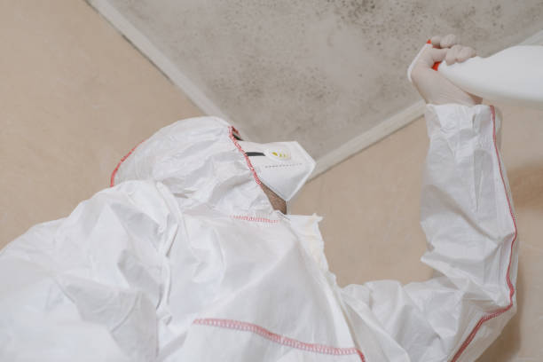 Best Commercial Mold Removal  in Lake Secession, SC
