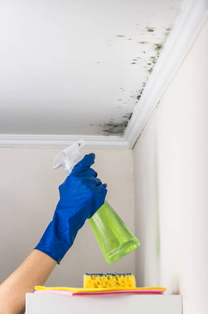 Best Home Mold Removal  in Lake Secession, SC